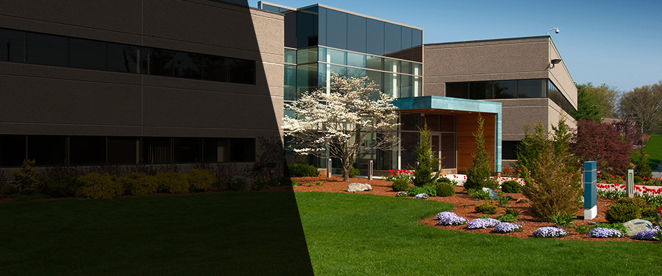 Placitas Landscapers