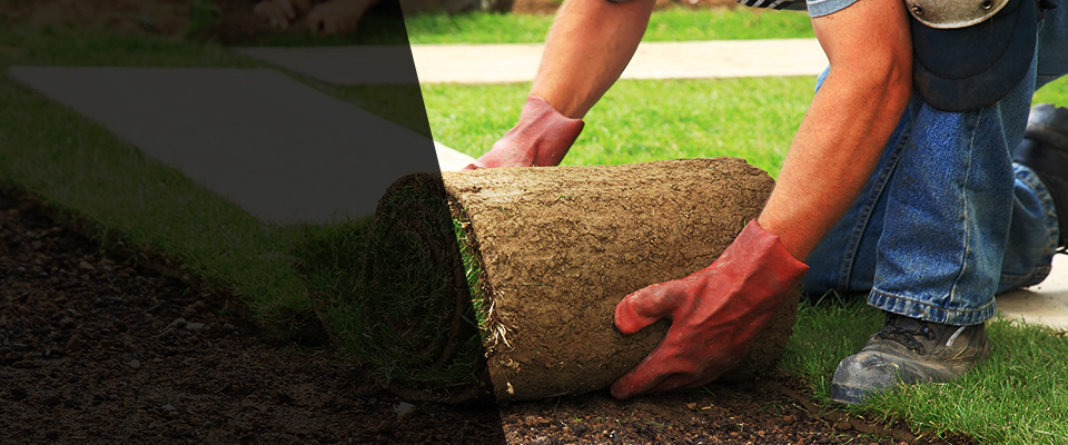 Placitas Landscapers